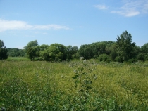 Петергоф в low season (фото)