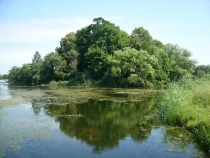 Петергоф в low season (фото)