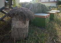 Как мы побывали в Раю!.. (2012-халкидики-корфу)