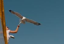 Как мы побывали в Раю!.. (2012-халкидики-корфу)