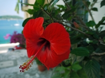 Как мы побывали в Раю!.. (2012-халкидики-корфу)