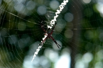 Филиппины-Рай на Земле, или где живет Солнце.