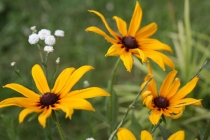 Yeslii, Дина ! С Днем Рождения !