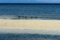 Филиппины-Рай на Земле, или где живет Солнце.