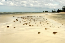 Филиппины-Рай на Земле, или где живет Солнце.