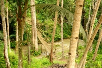 Филиппины-Рай на Земле, или где живет Солнце.