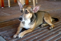 Филиппины-Рай на Земле, или где живет Солнце.