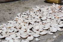 Филиппины-Рай на Земле, или где живет Солнце.