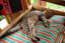 Филиппины-Рай на Земле, или где живет Солнце.