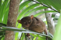 Филиппины-Рай на Земле, или где живет Солнце.