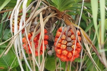 Филиппины-Рай на Земле, или где живет Солнце.