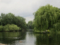 Риджент парк