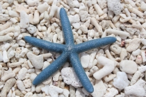 Филиппины-Рай на Земле, или где живет Солнце.