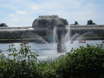 Кью-гардекс