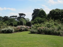 Кью-гардекс