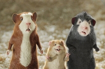 ищу соучредителя для стартапа бар/ресторан