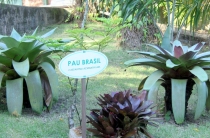 Южноамериканский дневник - записки на коленке. ч.1 Бразилия.