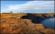 Живите на курортах Краснодарского края