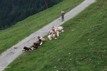 Бавария 2013, самостоятельно на арендованном авто