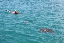 Барбадос (22.06.2013-06.07.2013). Много фото.