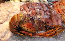 Южноамериканский дневник - записки на коленке. ч.1 Бразилия.