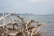 Отдых на море в Италии на побережье Тосканы