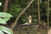 Барбадос (22.06.2013-06.07.2013). Много фото.