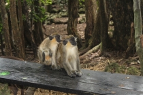Барбадос (22.06.2013-06.07.2013). Много фото.