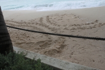 Барбадос (22.06.2013-06.07.2013). Много фото.