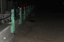 Барбадос (22.06.2013-06.07.2013). Много фото.