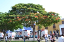 Трухильо\Trujillo