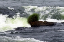 Южноамериканский дневник - записки на коленке. ч.1 Бразилия.