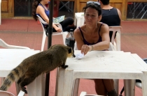 Южноамериканский дневник - записки на коленке. ч.1 Бразилия.