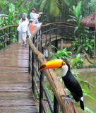 Южноамериканский дневник - записки на коленке. ч.1 Бразилия.