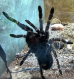 Южноамериканский дневник - записки на коленке. ч.1 Бразилия.