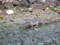 Изображение 005_1