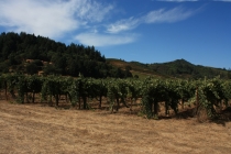 Sonoma Valley, California