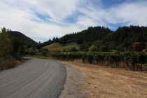 Sonoma Valley, California