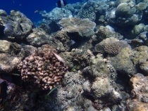 Мальдивы - Fihalhohi - Райское наслаждене