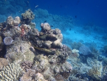 Мальдивы - Fihalhohi - Райское наслаждене