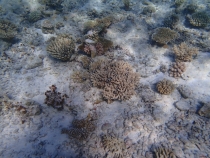 Мальдивы - Fihalhohi - Райское наслаждене