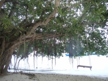 Мальдивы - Fihalhohi - Райское наслаждене