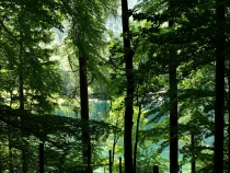 Наше путешествие по Европе-2013: Чехия, Австрия, Германия.