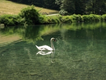 Наше путешествие по Европе-2013: Чехия, Австрия, Германия.