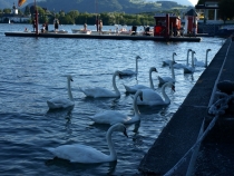 Наше путешествие по Европе-2013: Чехия, Австрия, Германия.