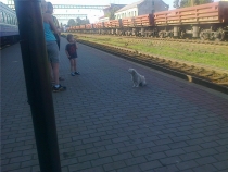 последняя остановка перед Одессой - Котовск