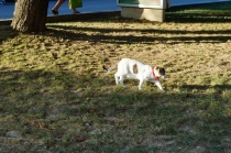 Хорватия. Дубровник-Растоке со всеми остановками (автобусом и не только, есть расписания)