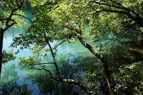 Хорватия. Дубровник-Растоке со всеми остановками (автобусом и не только, есть расписания)