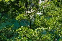 Хорватия. Дубровник-Растоке со всеми остановками (автобусом и не только, есть расписания)