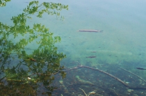 Хорватия. Дубровник-Растоке со всеми остановками (автобусом и не только, есть расписания)